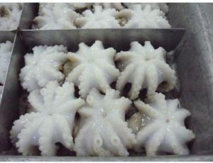 Frozen Octopus