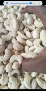 Cashew nut W240