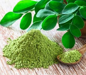 Dry Moringa Powder