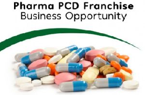 best pcd pharma franchise