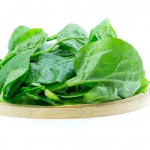 Fresh Spinach