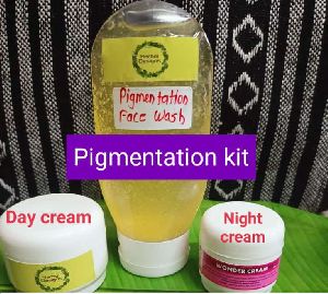 Herbal Designs Pigmentation Kit