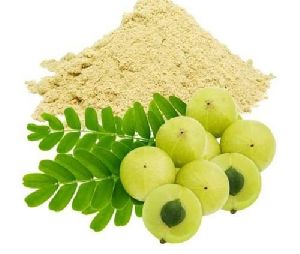 amla extract powder