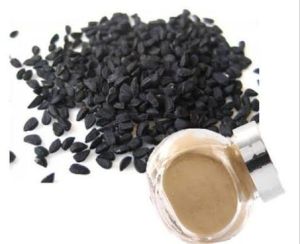 Black Cumin Seed Extract Powder