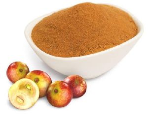 camu camu extract powder