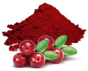 Cranberry Extract Powder