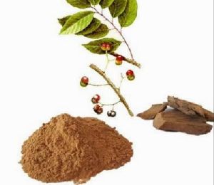 Pygeum Bark Extract Powder