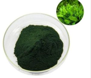 Spirulina Extract Powder