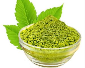 Tulsi Extract Powder