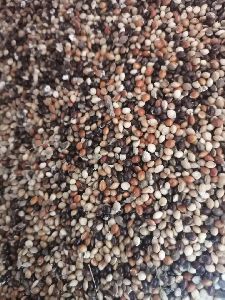 Mixed Millet Pet Feed