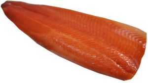 Salmon Fish