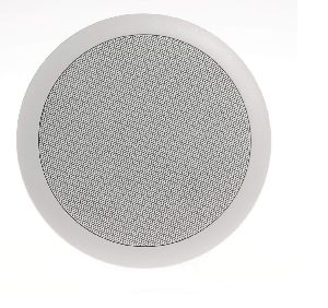 ceiling mount speaker