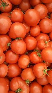 Beefsteak - Heirloom Tomatoes