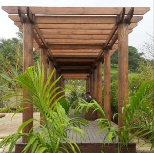 Outdoor Wooden Pergola