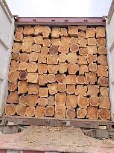 2.60 Mtr Ecuador Teak Wood Logs