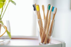 Bamboo Toothbrush with Bio-plastic Bristles