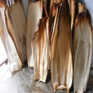 Areca Palm Leaf for Kitchenware