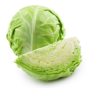 Fresh Green Cabbage