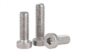 Stainless Steel Bolts