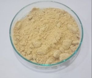 lecithin powder