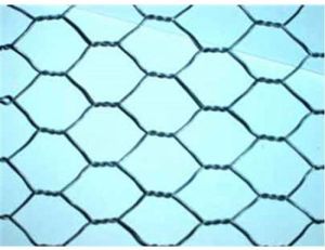 Hexagonal Wire Mesh