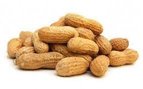 Groundnut Shell