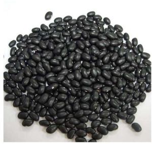 Black Kidney Beans,