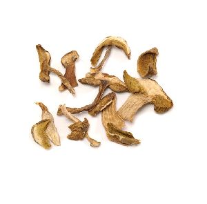 Dried Boletus Mushroom