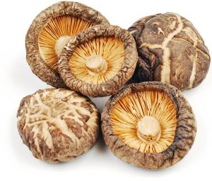 dried shiitake mushroom