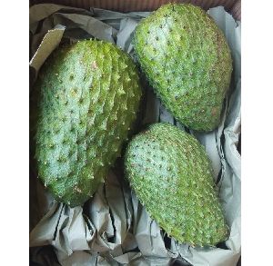 Fresh Soursop Fruit