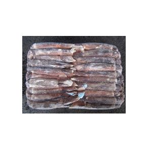 whole frozen illex squid