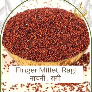 organic finger millet