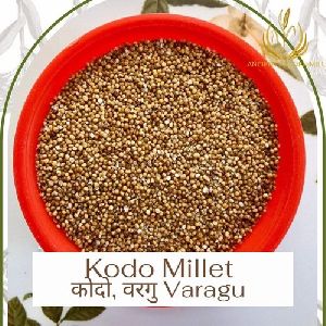 Organic kodo millet