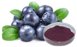 Bilberry Extract