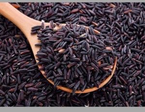 Black Rice