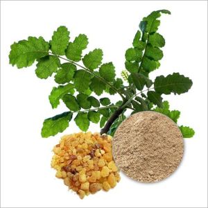 Boswellia Serrata Extract