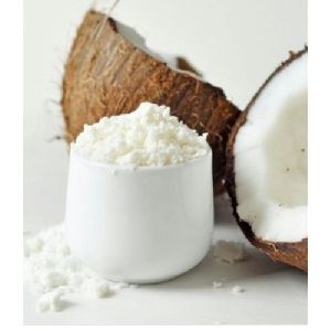 Coconut Milk Powder