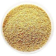 foxtail millet