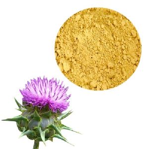 Milk Thistle Extract