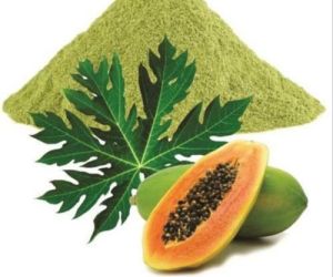 Papaya Leaves Extract