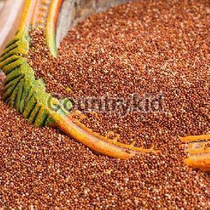 Finger Millet Seeds