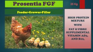 Prosentia FGF