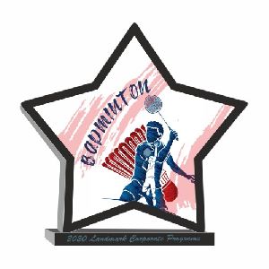 Budget Badminton Award