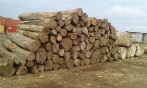 Sawn Timbers