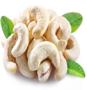 PROCESS CASHEW NUT W24,W320