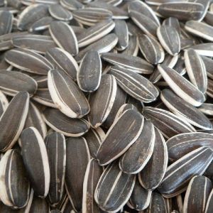 Sunflower Seeds