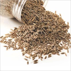 Cumin Seeds