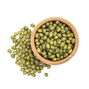 Mung Bean