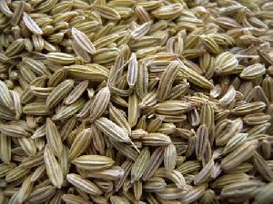 Fennel Seeds