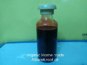 Organic Alkanet Root Oil